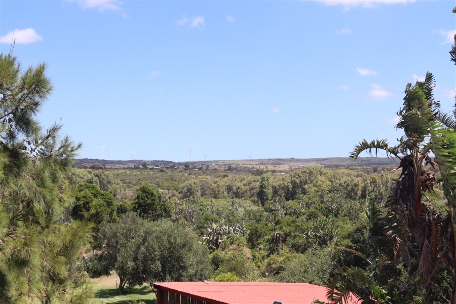 Commercial Property for Sale in Kabeljauws Eastern Cape